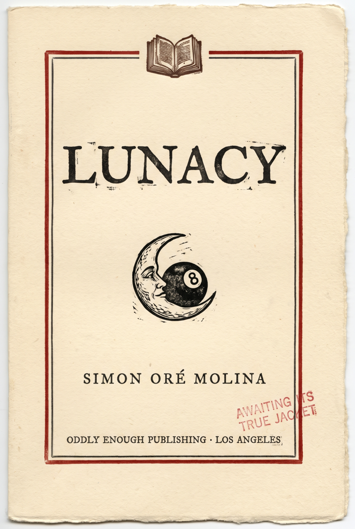 Interim jacket for Lunacy